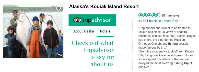 trip advisor review Regarding Kodiak Island Resort