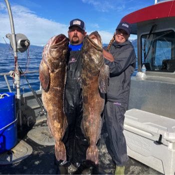 Ling Cod Fishing in Kodiak Island Alaska