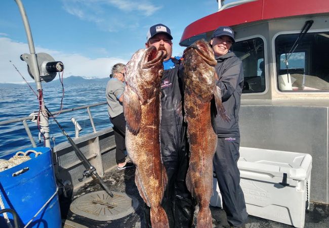 Lingcod Fishing Kodiak Alaska