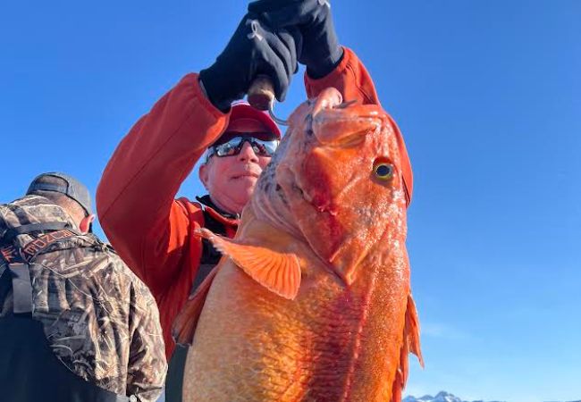 Rockfish Fishing Trip in Kodiak Alaska