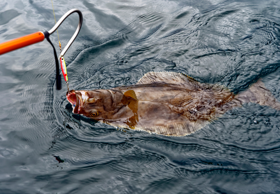 Do you need a fishing license to go fishing in Kodiak Island