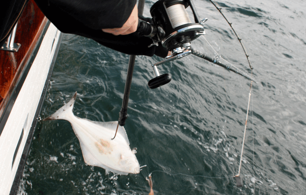 Planning Your 2026 Halibut Fishing Trip to Kodiak Alaska