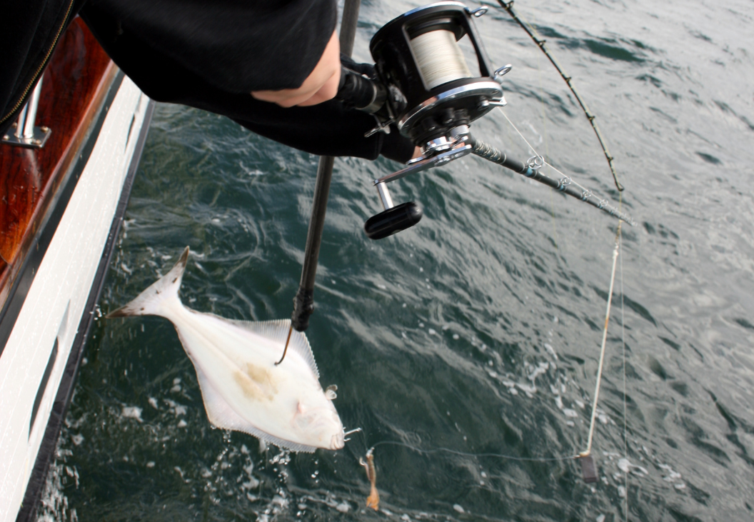 Planning Your 2026 Halibut Fishing Trip to Kodiak Alaska