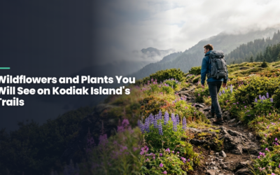 Wildflowers and Plants You Will See on Kodiak Island’s Trails