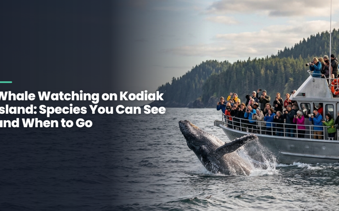 Whale Watching on Kodiak Island: Species You Can See and When to Go